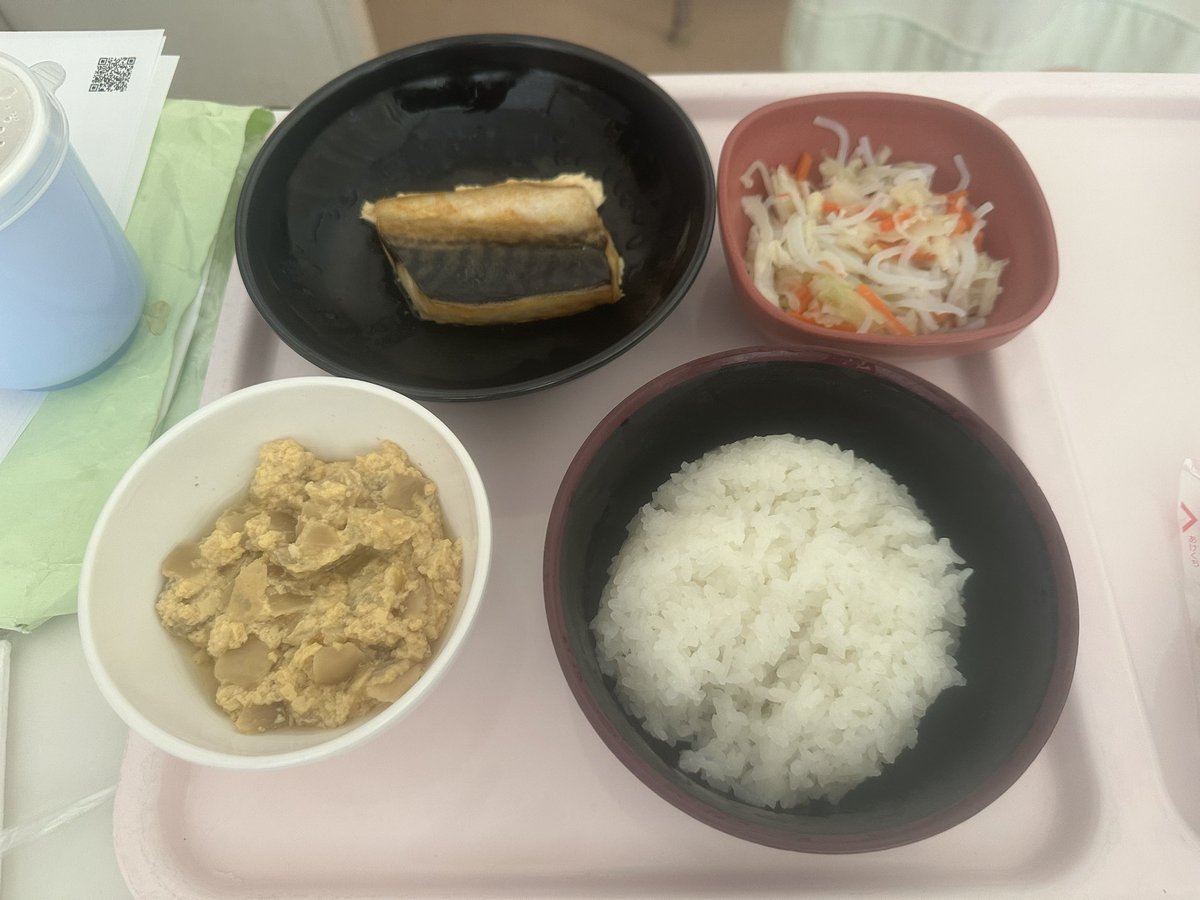 今からお昼ごはん