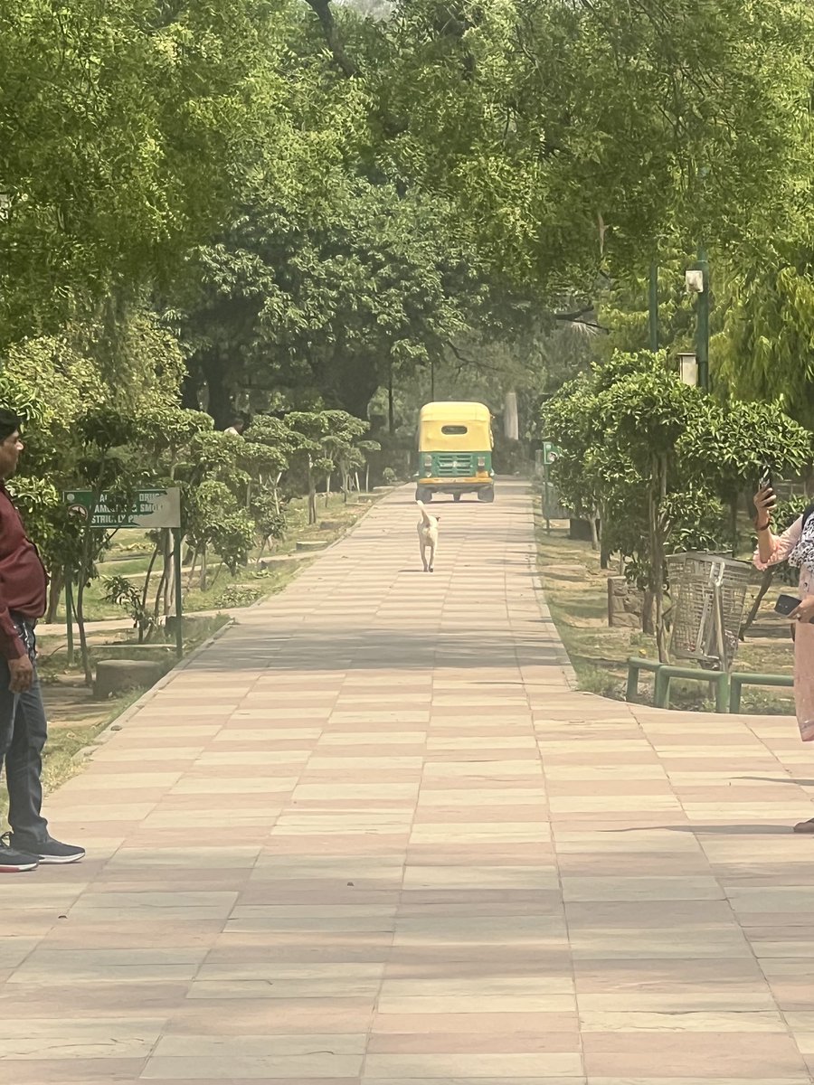 Lodhi gardens today. Three wheelers and mobikes and other passing traffic zipping away. Senior citizens and young children at huge risk of hit and run cases. Forget the Enviornment ! <a href="/ndmc/">Noah McKenna</a> #delhigovt #enviornment