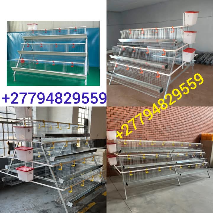 Laberry_SA's tweet photo. Get cages from R3000 #mommyclubshowmax #AdultingShowmaxS3 Easter Good Friday Mrs Sande Aldrin Rosette #SUNDOWNSXHuawei Sharks #RHODurban #UthandoNesithembu Audi BOARDDING BUNNY Jesus authentic sweet guluva Pheladi SWEET GULUVA AND ASHLEY OGLE Cape Town City Nonku Zimbabwe Halen https://t.co/Xj4fWUStZs