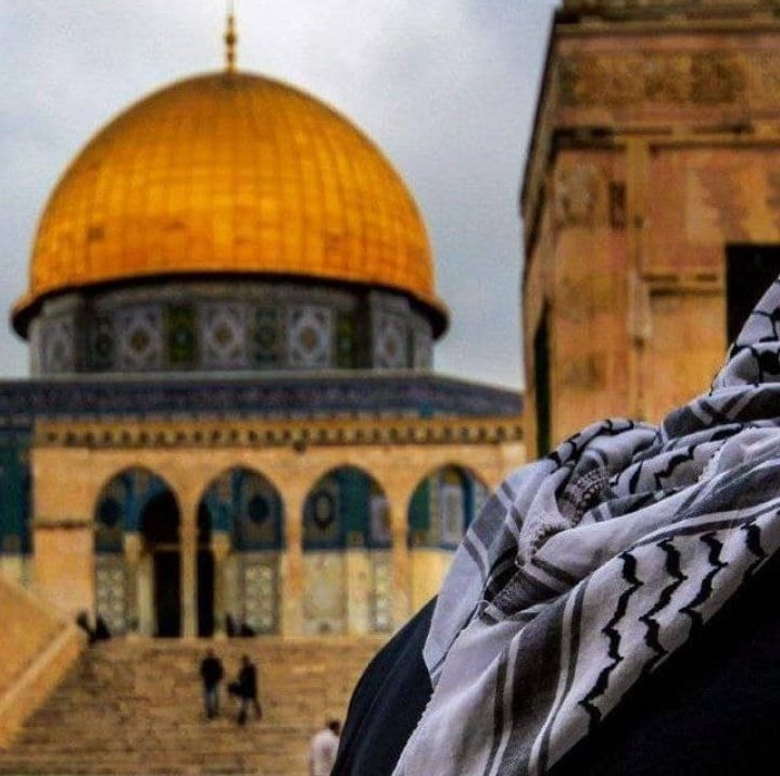 🇵🇸اقول بدنا ان يعرف العالم اجمع لو يجمعوا علينا كتلان من الاسلحه والقنابل فلن تهز رموشنا بل بعون الله سنقف في اي تحدي مثل الاسود شامخين رافعين للرايات 
ومهما حصل فلن نترك فلسطين 🇵🇸