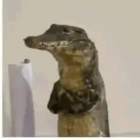 兄弟讓我畫ㄉ🐊🐊🐊
#ラギアクルス #mosterhunter