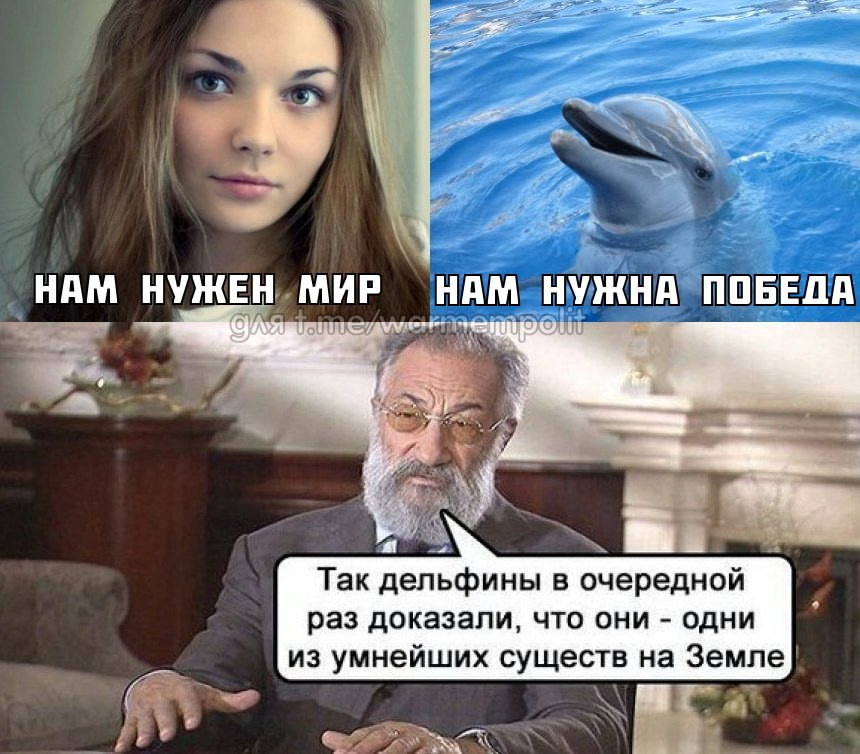 GoBliNuke's tweet photo. #warmempolit #meme #мем #мемы #Ukraine️ #UkraineWar #Russia #RussiaUkraineWar #War https://t.co/HnUxWfvfCh