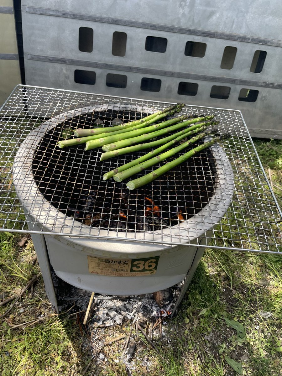 n_m_l_k_tommy's tweet image. 今日は宇宙村開放日♡
初かまどでご飯と豚汁🍚✨🤤
暑かったけど、みんなでやって
最高に楽しかったーーー😍☘️🌈
#アースデー
#土用
#神社にご挨拶してから畑