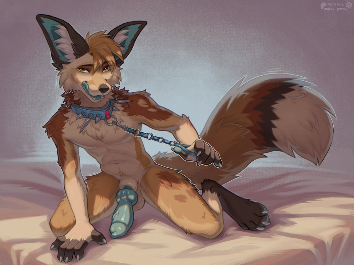 marsy_pawsy's tweet photo. For @kilometers https://t.co/Xvhl7px2SW