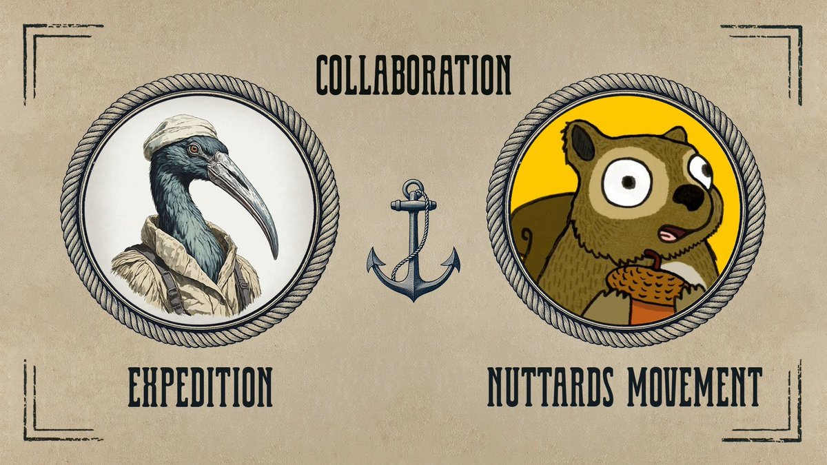 Expedition ⚓️ tweet media