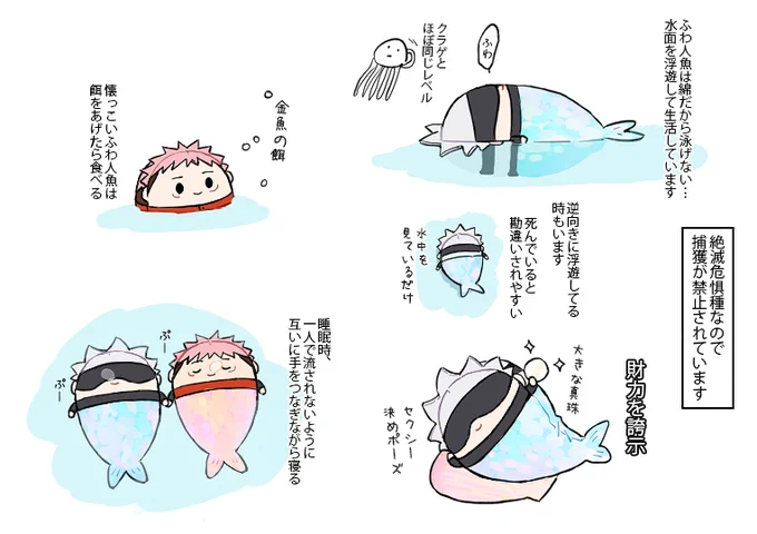 ふわ人魚とか… 