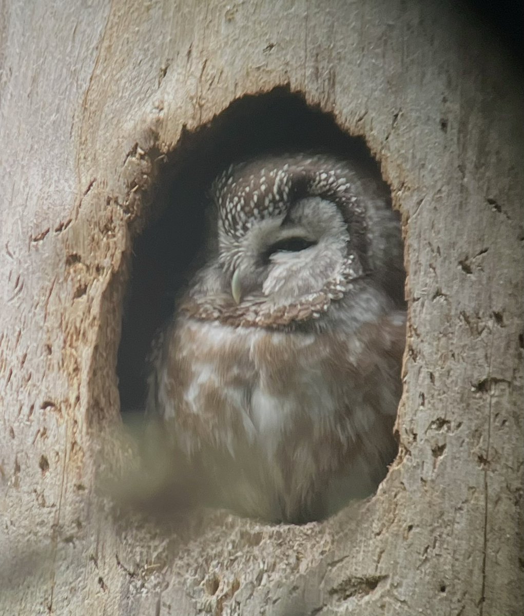 Alan Pavey tweet media