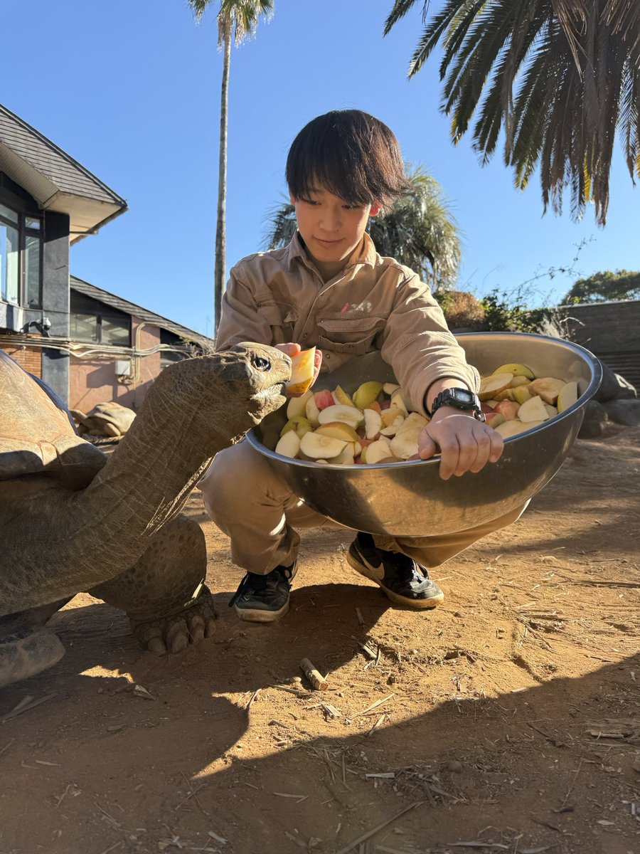 iZoo_iZoo_'s tweet image. 4月19日〝飼育の日〟との事です。

体感型動物園iZooでは、展示や保護、繁殖の為に約400種類2000匹以上の動物達を飼育しています。

動物園での飼育は動物達の調査、研究に役立つなど色々な面があります。
