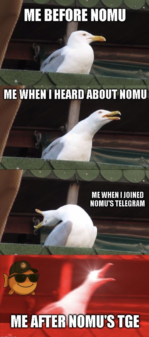 FifoxGNET's tweet photo. When is @EatwithNomu 's TGE ? Can't wait ! Here is how I feel right now.
#NomuMemeLibrary https://t.co/iDJ6pPnlPx