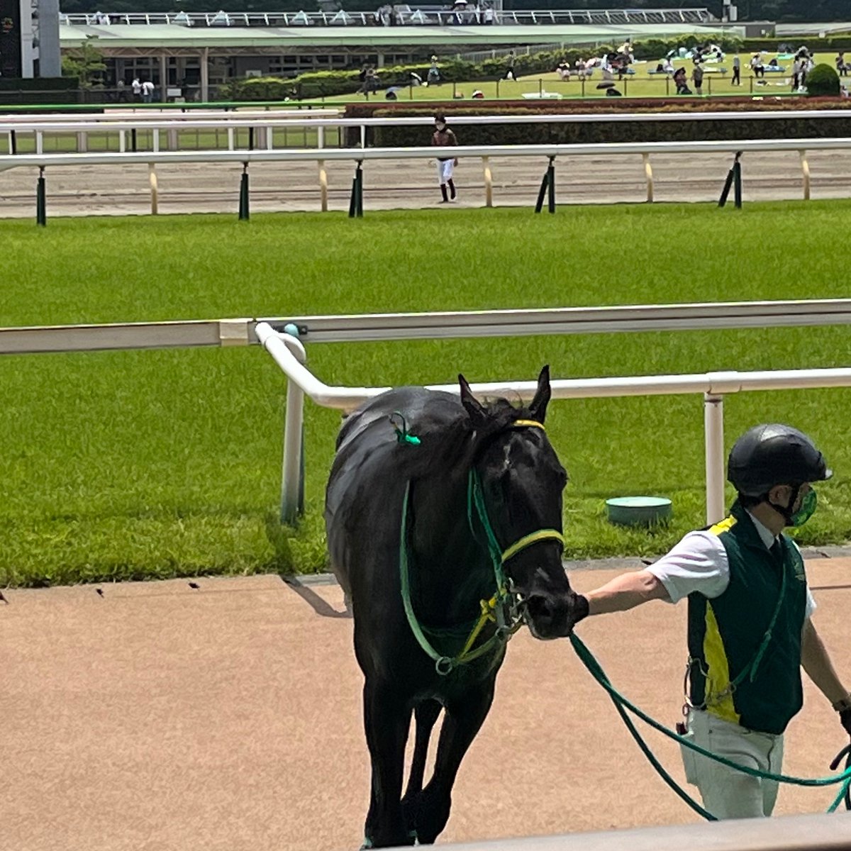 mooon5331's tweet photo. 未勝利勝ちを見届けた印象深い馬
エコロデュエルおめでとう㊗️ https://t.co/18FTgVbNrJ