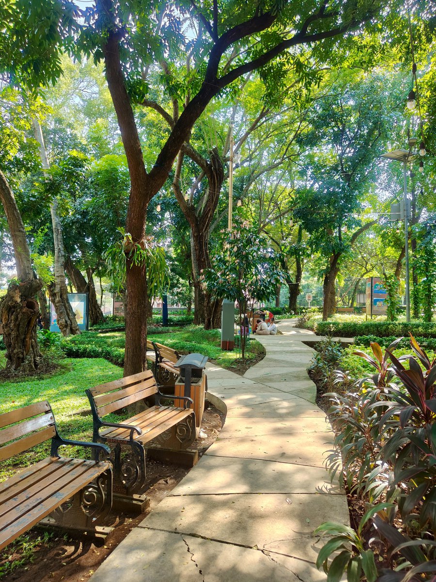 Widino's tweet photo. Kota-kota di Indonesia tuh harusnya banyakin taman kota kaya gini, bukan semua lahan kosong habis jadi bangunan n gedung.

Semarang yg panas bgt aja duduk di sini kerasa adem semriwing. Gelar tiker tidur siang enak nih 😂 https://t.co/Ts8hE1njP7