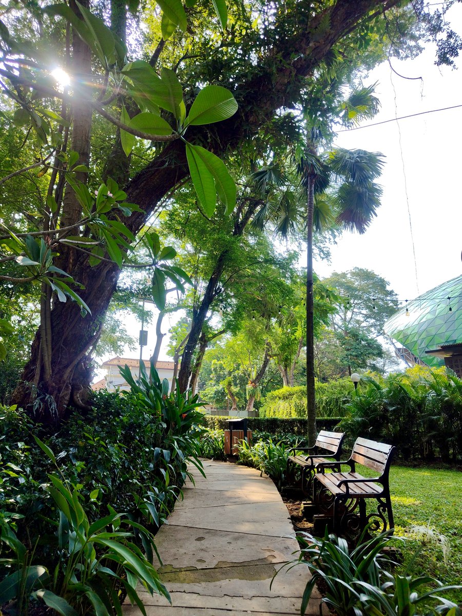 Widino's tweet photo. Kota-kota di Indonesia tuh harusnya banyakin taman kota kaya gini, bukan semua lahan kosong habis jadi bangunan n gedung.

Semarang yg panas bgt aja duduk di sini kerasa adem semriwing. Gelar tiker tidur siang enak nih 😂 https://t.co/Ts8hE1njP7