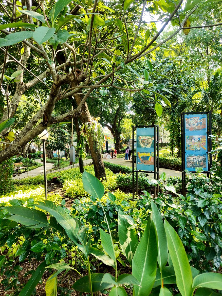 Widino's tweet photo. Kota-kota di Indonesia tuh harusnya banyakin taman kota kaya gini, bukan semua lahan kosong habis jadi bangunan n gedung.

Semarang yg panas bgt aja duduk di sini kerasa adem semriwing. Gelar tiker tidur siang enak nih 😂 https://t.co/Ts8hE1njP7