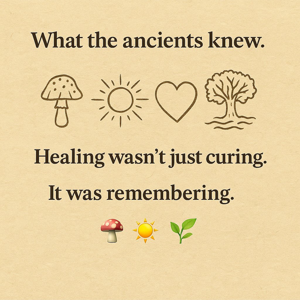 therealfunguys's tweet image. Modern world: glitching.
Ancient world: thriving.
Solution? 🍄 Plug into nature’s WiFi and upgrade your soul firmware. 🌐🌿

#ReconnectWithin #NatureNetwork