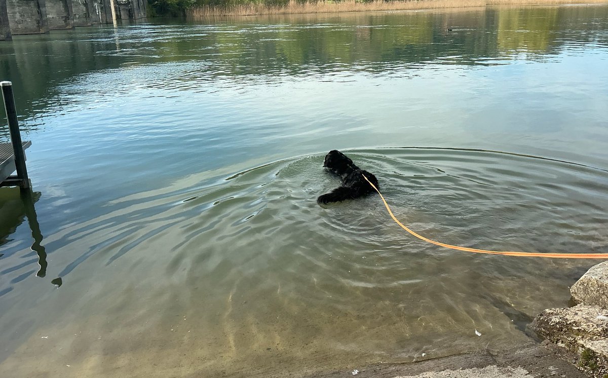 stadtwanderer_'s tweet photo. #Ilvy
Besuch aus Schweden. Frohes Baden im Süden. https://t.co/YJOrYtdIl2