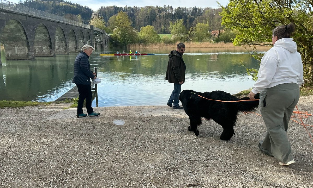 stadtwanderer_'s tweet photo. #Ilvy
Besuch aus Schweden. Frohes Baden im Süden. https://t.co/YJOrYtdIl2