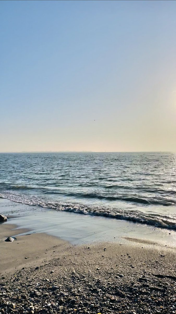 📍Sarzeau, Morbihan 

#Bretagne #envisite #jadoremonmetier

📸 : Wendy⚓️Bretagne✨ ©