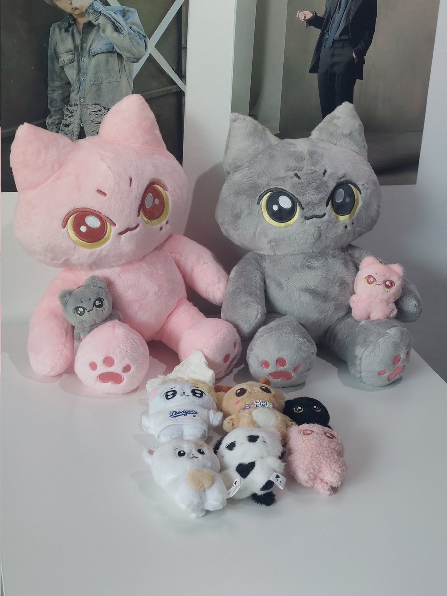 💗🐈‍⬛
#TheOceanSkyShadeOf_JAY