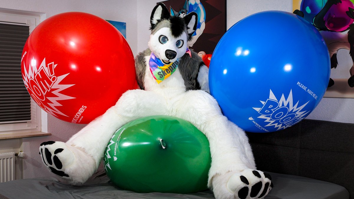 SkeppoBalloon 🎈🐾 tweet media