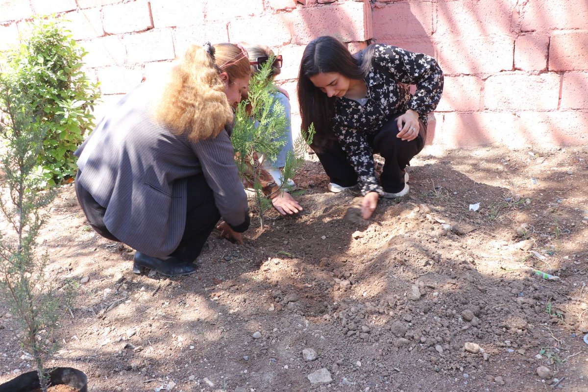 starkongra1's tweet photo. مؤتمر ستار يحتفل بذكرى تأسيس منظومة المرأة الكردستانية
احتفالاً بذكرى تأسيس منظومة المرأة الكردستانية، زرعت عضوات مؤتمر ستار 35 غرسة، من أشجار السرور والصنوبر والورود في حدائق مدينة قامشلو.تحت شعار “الك*ونفدرالية الديمقراطية للمرأة هي ضمان الحرية” احتفل مؤتمر ستار في مدينة قامشلو https://t.co/vg6sN3sgZt