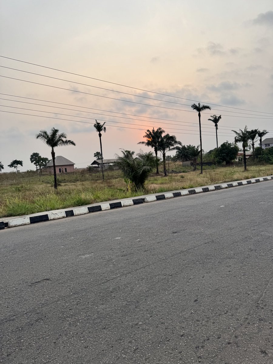 Gm frens🤗

Go and touch grass!