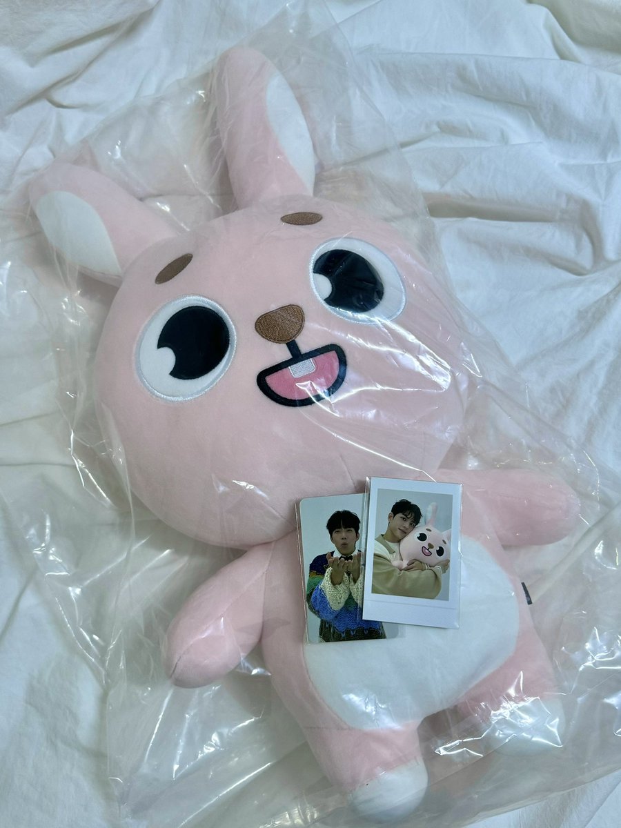 coolhangeorae's tweet photo. 자이언트 데니멀즈 왕데멀 필끼 양도

비닐 그대로, 폴라, 4만원 포카 후도운 포함
운포 10

디엠주세요 .ᐟ https://t.co/LXAtcZRMZp
