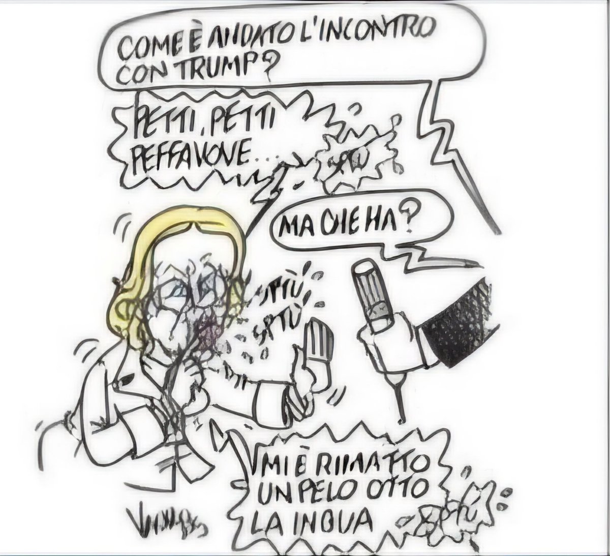 ChiodiDonatella's tweet image. E qui abbiamo il #compagno #Vauro che con questa vignetta infame sulla #Meloni da #Trump si sente in dovere di ricordarci che è un testa di cazzo.
Come se fosse possibile dimenticarlo...