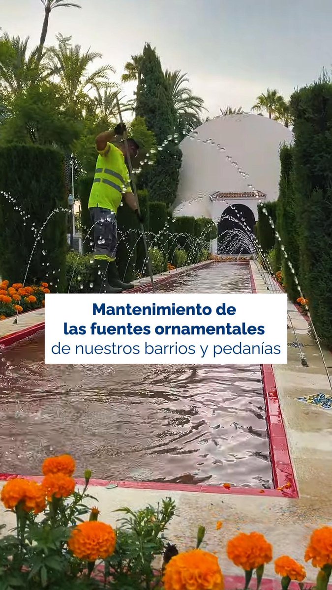 💧 Cuidamos y mantenemos las fuentes ornamentales de nuestros barrios y pedanías. En Elche disponemos de unas 4️⃣2️⃣ fuentes de este tipo, que contribuyen a refrescar el ambiente y hacer nuestra ciudad más habitable.
#AigüesDElx #Elche #GestiónDelAgua #VidaUrbana