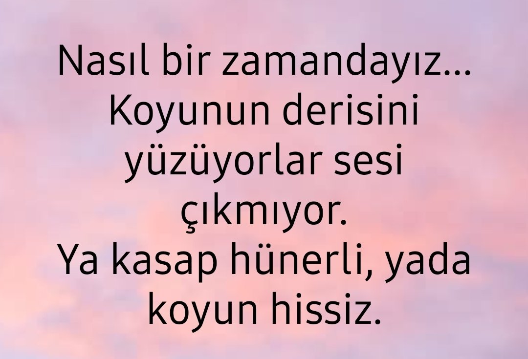 yimenicioglu's tweet photo. Ya kasap hünerli ya da koyun hissiz
#cumartesi
#Gazze https://t.co/jcHYh98maW
