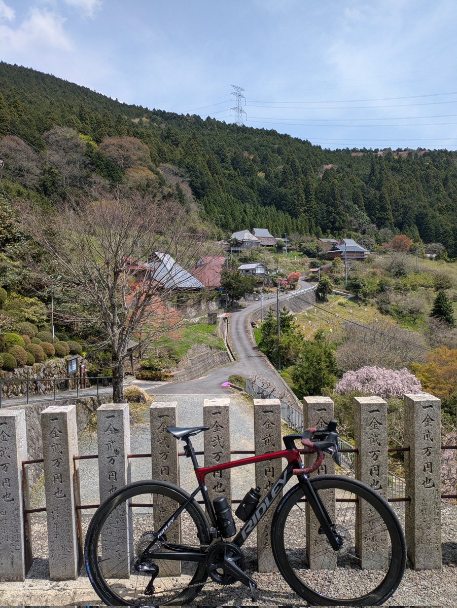 kochiM's tweet photo. 今日は天気よかったですね

#REDLEY
#ロードバイク
#旅行 https://t.co/UjSY31WzRr