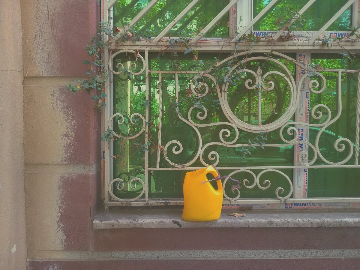 Xjohnnyjeez's tweet image. Blossoming 

#everyday everywhere
#springishere #colors