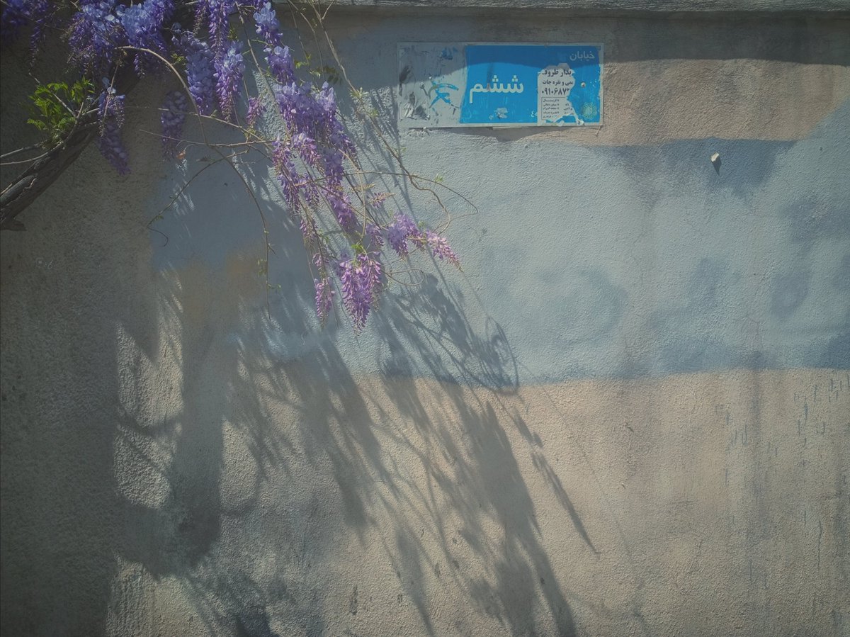 Xjohnnyjeez's tweet image. Blossoming 

#everyday everywhere
#springishere #colors