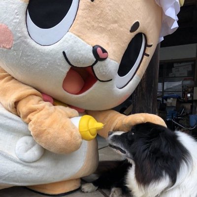 #新しいプロフィール画像