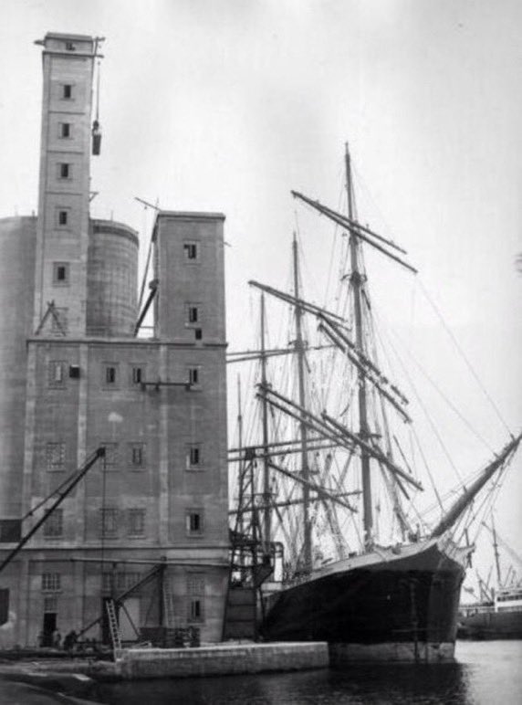 ℝ𝕚𝕡𝕡𝕖𝕣 tweet media