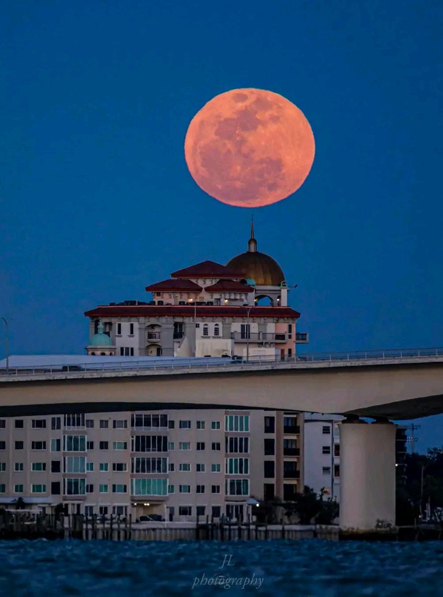 FLORIDA FULL MOON! 🌕🌴

Spectacular capture of the April “Pink Moon” rising above Downtown Sarasota. What a shot! 

Credit: Jeremy LeBarre