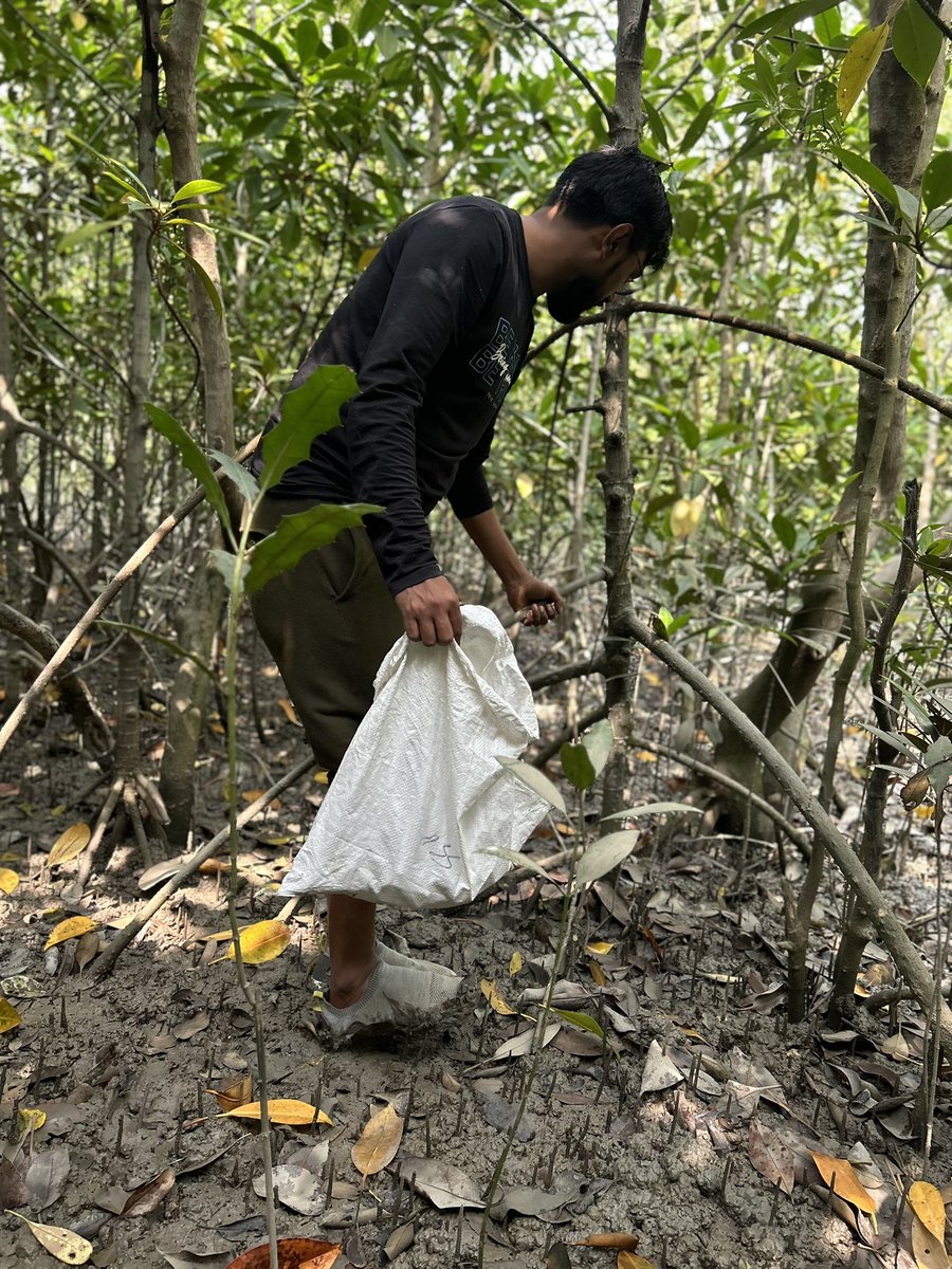 Debabrata9663's tweet photo. Every act of consumption counts,
Every act of preservation counts,
Every act of creation counts. 

That’s Brahma Vishnu Mahesh for you
One leads to creation, 
One leads to sustenance,
One leads to destruction.🌿
#Save_Earth 
@UN @UNYouthAffairs @UNDPClimate 
@Sdg13Un #Sundarban https://t.co/FynuRP5t0h