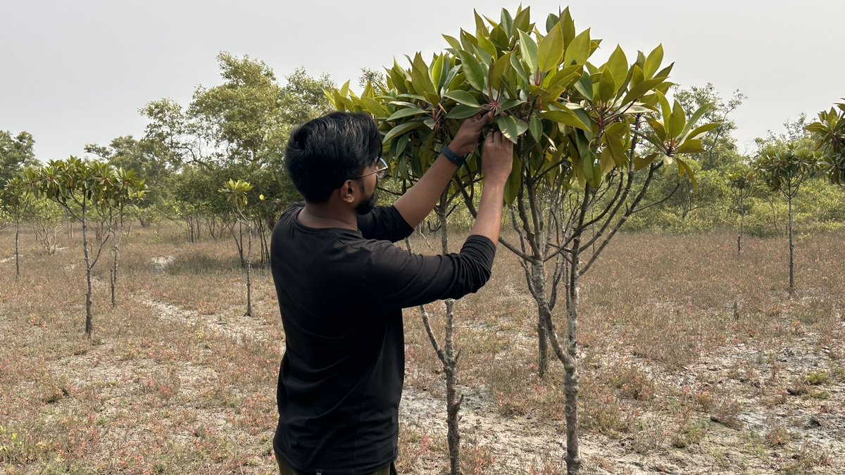 Debabrata9663's tweet photo. Every act of consumption counts,
Every act of preservation counts,
Every act of creation counts. 

That’s Brahma Vishnu Mahesh for you
One leads to creation, 
One leads to sustenance,
One leads to destruction.🌿
#Save_Earth 
@UN @UNYouthAffairs @UNDPClimate 
@Sdg13Un #Sundarban https://t.co/FynuRP5t0h