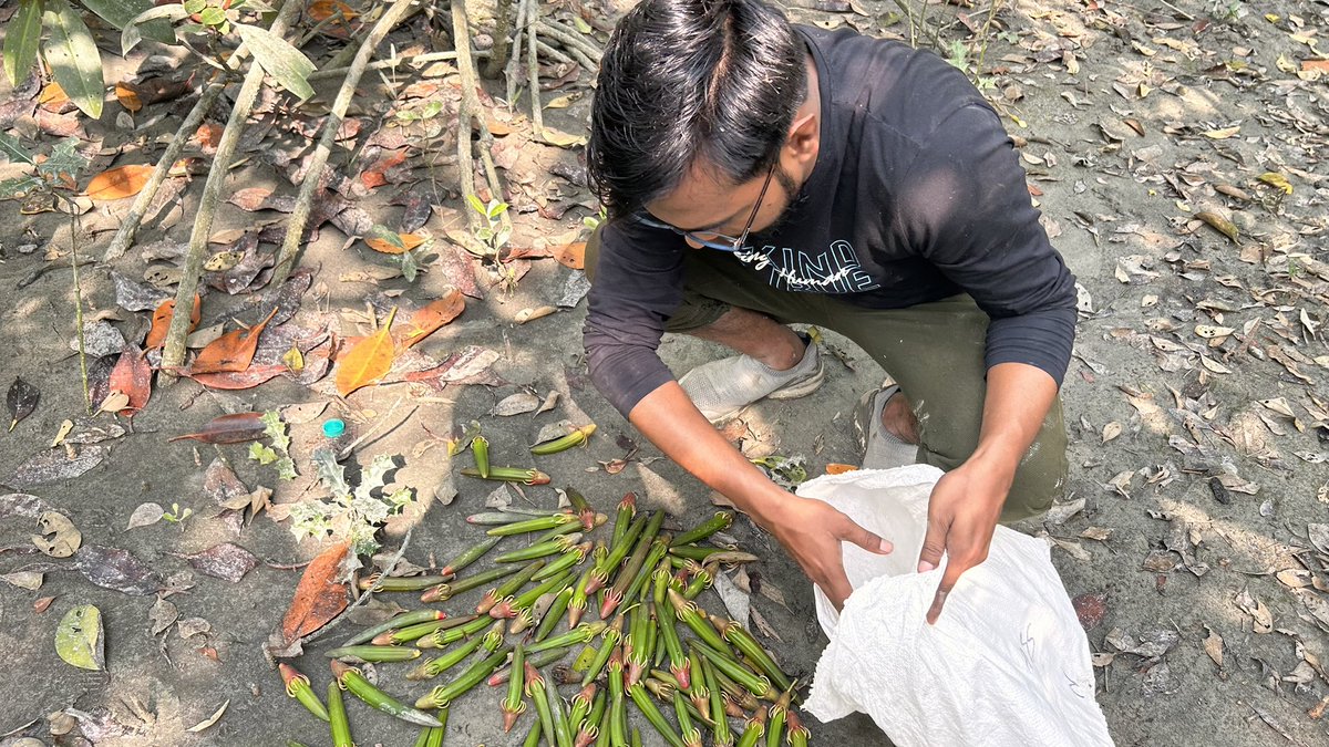 Debabrata9663's tweet photo. Every act of consumption counts,
Every act of preservation counts,
Every act of creation counts. 

That’s Brahma Vishnu Mahesh for you
One leads to creation, 
One leads to sustenance,
One leads to destruction.🌿
#Save_Earth 
@UN @UNYouthAffairs @UNDPClimate 
@Sdg13Un #Sundarban https://t.co/FynuRP5t0h