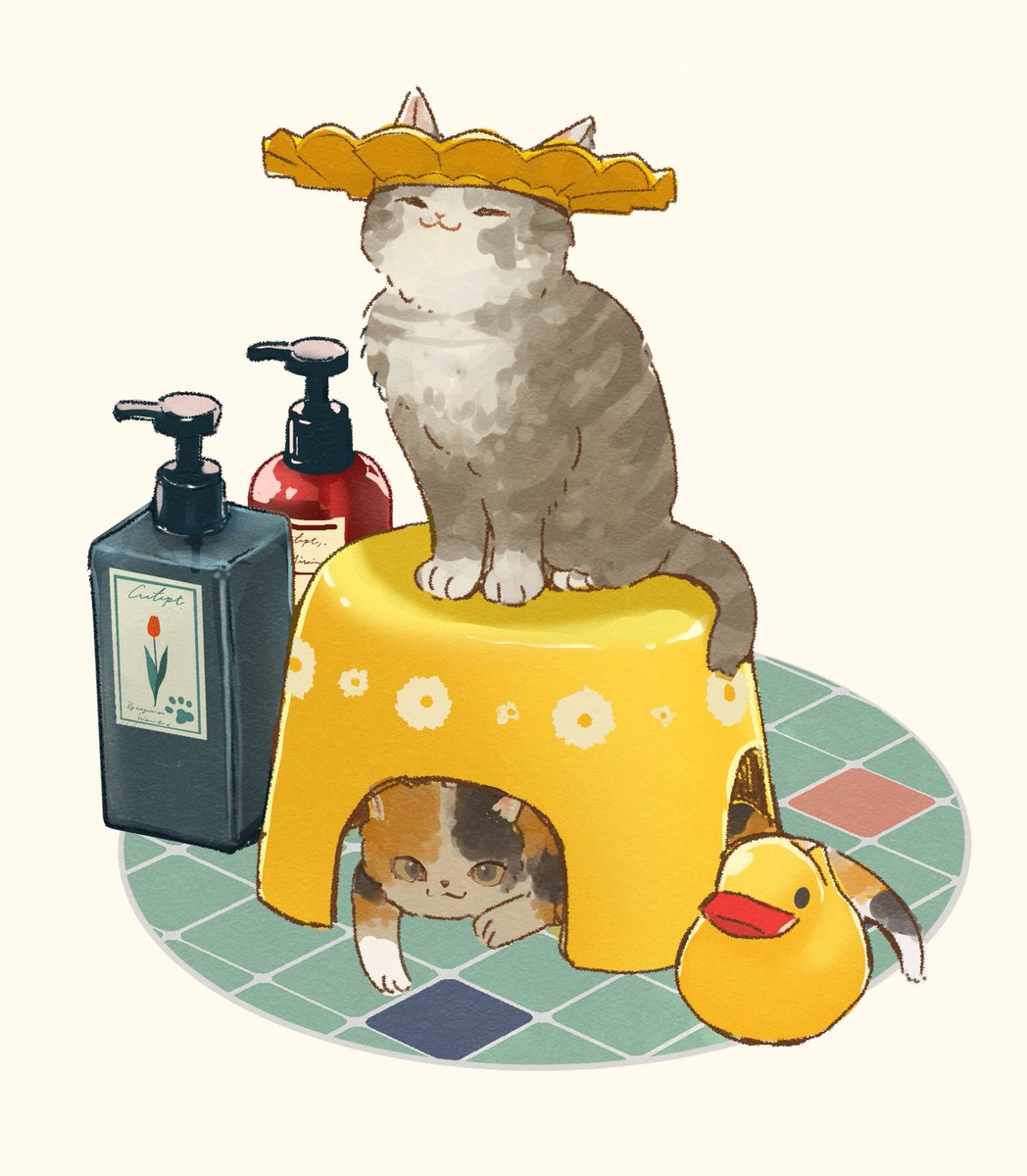 シャンプーハット🐈🛁