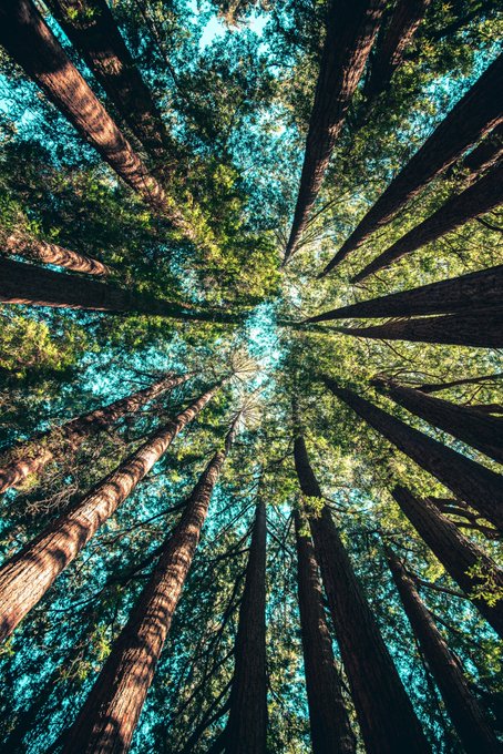 Photography by Casey Horner 