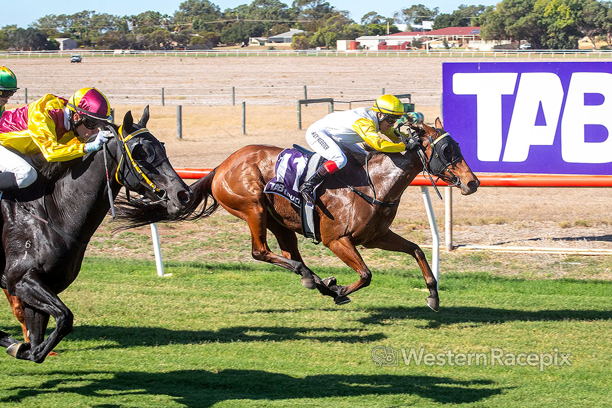 Western Racepix tweet media