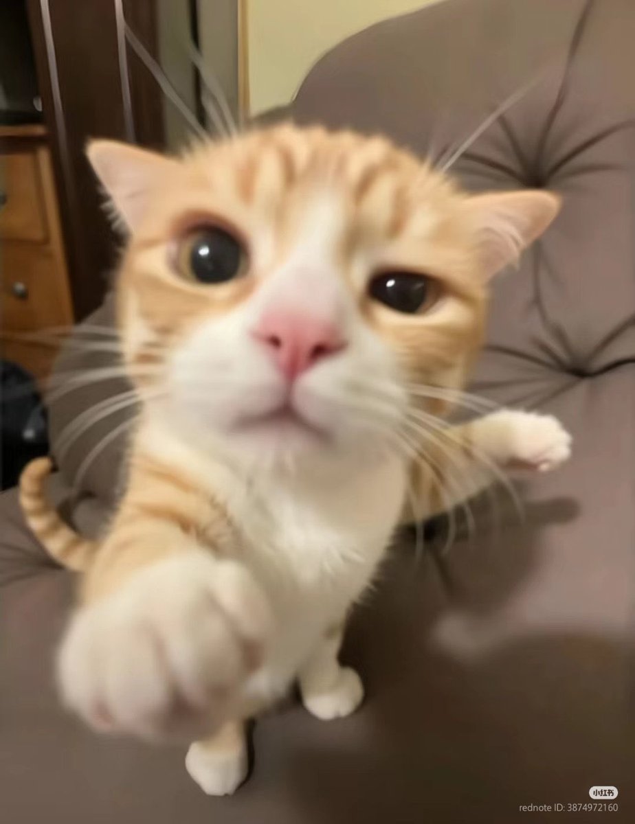 tomeeday4's tweet image. 