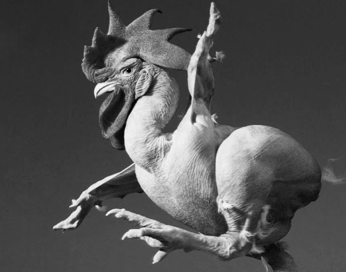 Allen019077's tweet image. 🐥返老還童
#嘶 #初次解鎖🔓#P26