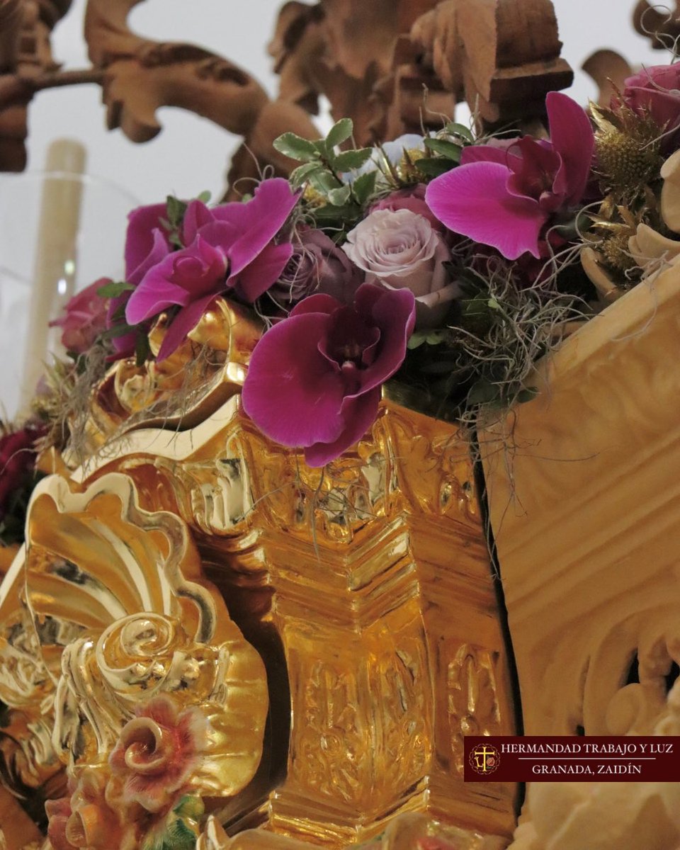 HdadTrabajoyLuz's tweet photo. #SSantaGr25 • Exorno floral del paso de misterio del Santísimo #Cristo del #Trabajo.
Dispuesto por D. Alejandro Sánchez.
Dotando al #Señor de su divinidad en su exorno floral, fue #compuesto por clavel fancy morado, anthurium previa, orquídea phalaenopsis morada,
(1/2) https://t.co/5xHjXIgV7L