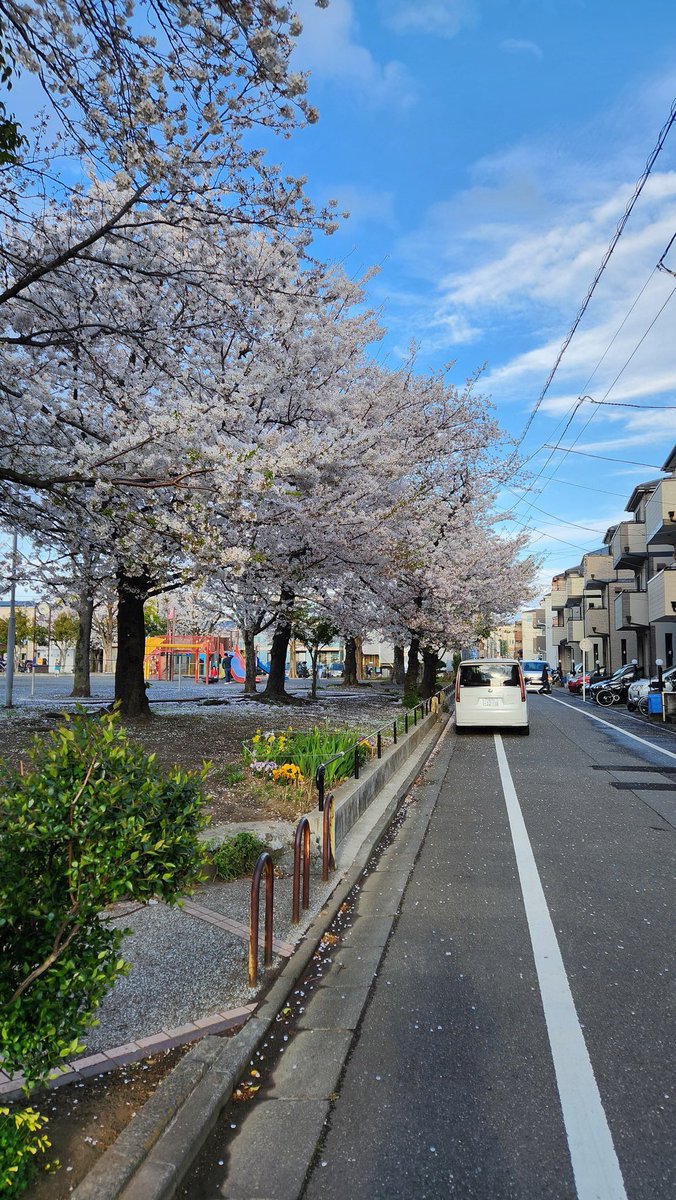 jenguel_'s tweet photo. Bu yıl çektiğim en güzel sakura resmi budur. 06.04.2025 https://t.co/Ni4GAS4tkH