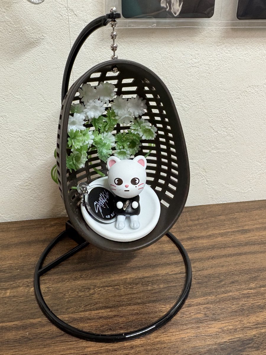 お花好きなﾋｮﾝｼﾞﾝﾁｬﾝのためにお花畑にしてあげた🥰ｶﾜﾁｨね……💕