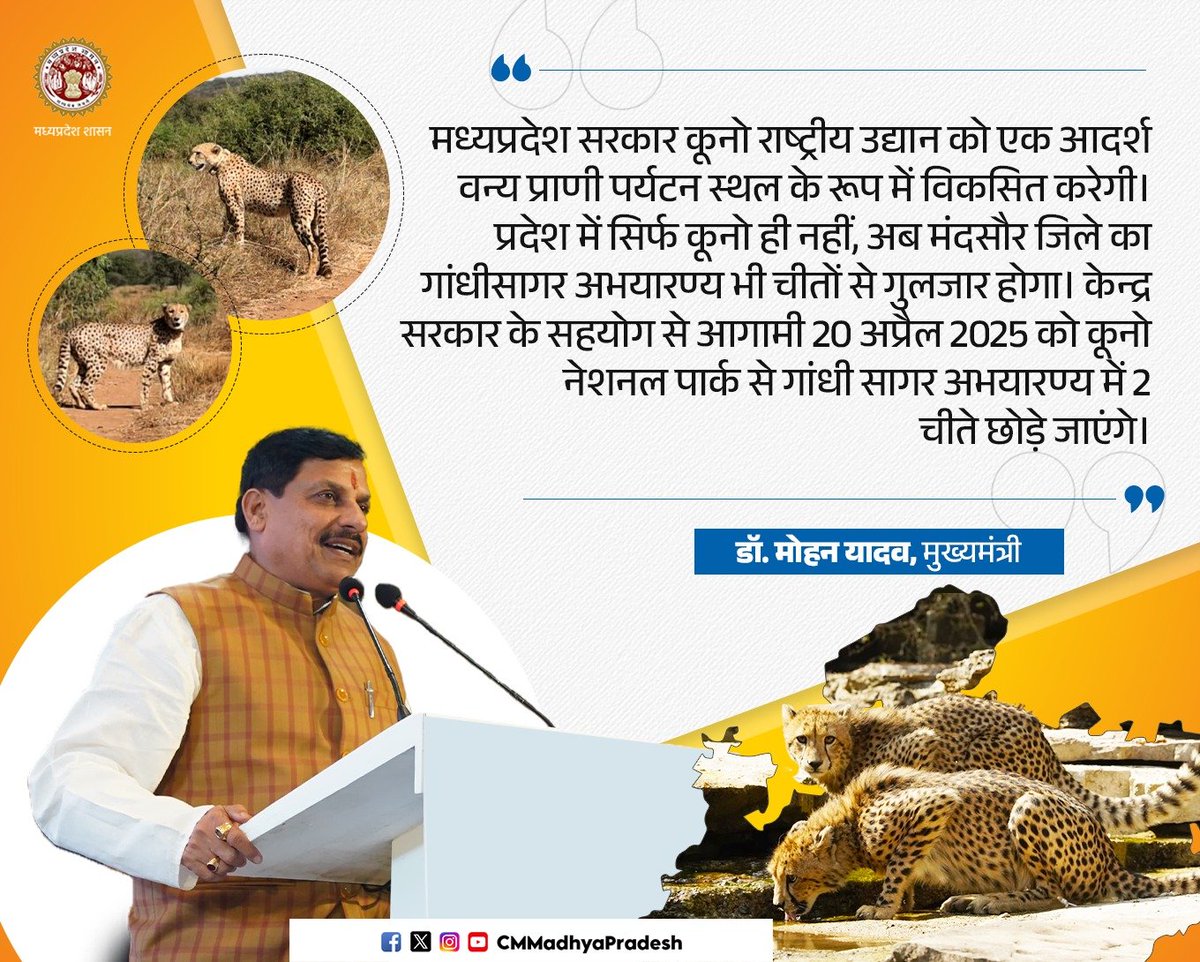 मध्यप्रदेश सरकार कूनो राष्ट्रीय उद्यान को एक आदर्श वन्य प्राणी पर्यटन स्थल के रूप में विकसित करेगी। 

प्रदेश में सिर्फ कूनो ही नहीं, अब मंदसौर जिले का गांधीसागर अभयारण्य भी चीतों से गुलजार होगा। केन्द्र सरकार के सहयोग से आगामी 20 अप्रैल 2025 को कूनो नेशनल पार्क से गांधी सागर