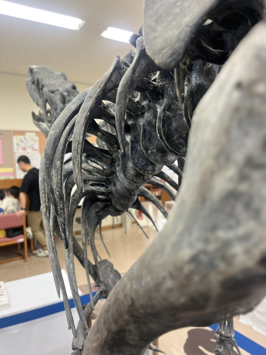Museum_Dinosaur's tweet photo. 本日もご来館ありがとうございました！ https://t.co/aT4lYMSBVh