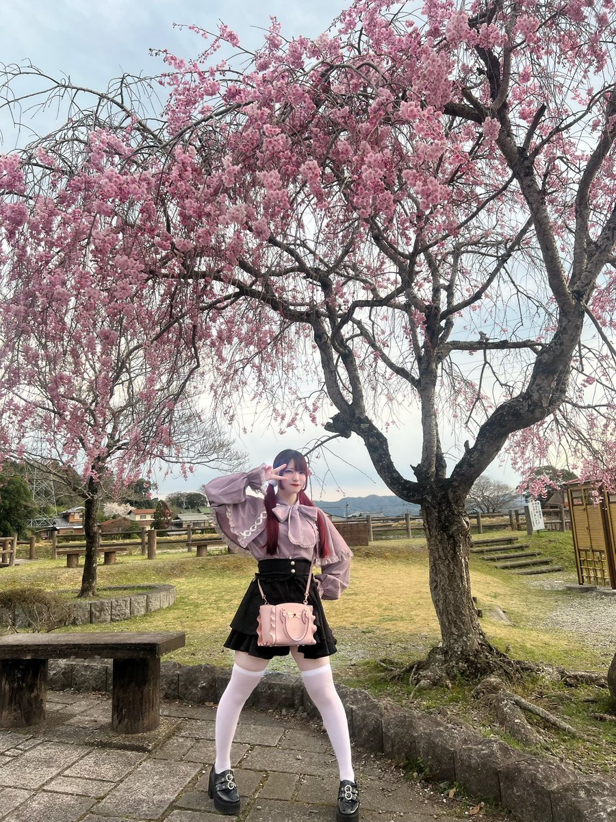 momo__cn_'s tweet photo. もう春終わっちゃう、、、 https://t.co/Dg8CeSZ1rR