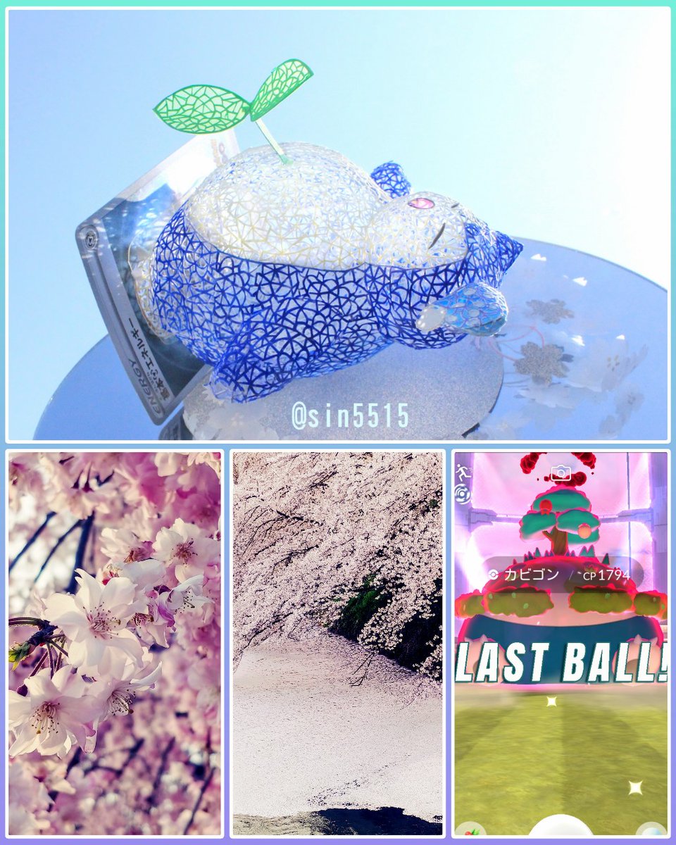 カビゴンの切り絵に芽が生えた
キョダイマックスカビゴン唯一成立したやつ逃亡ー！山形県の霞城公園の桜！青森弘前みたいな花筏できてた🌸
#カビゴン